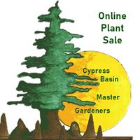 CBMGA Plant Store