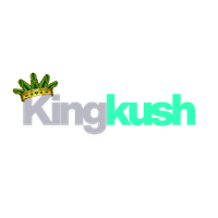 Online Store