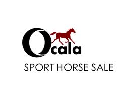 Ocala Sport Horse Sale