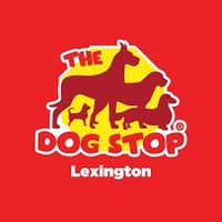 The Dog Stop Lexington KY 