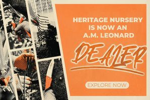 Perennials in Lansing, Michigan