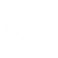 MIDNIGHT ROBBER