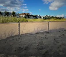 DUNE RESTORATION