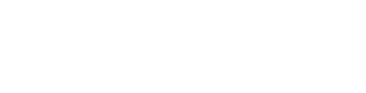 The APL Store