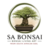 SA Bonsai, Your only online Bonsai Store