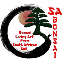 SA Bonsai Online Store