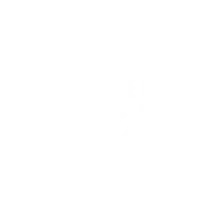 Since 1950