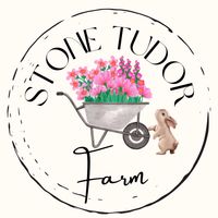 Stone Tudor Farm