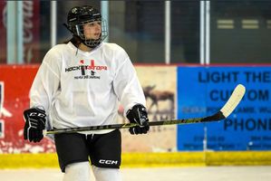 Hockey Sticks