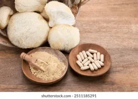 The Amazing Lion's Mane Mushroom