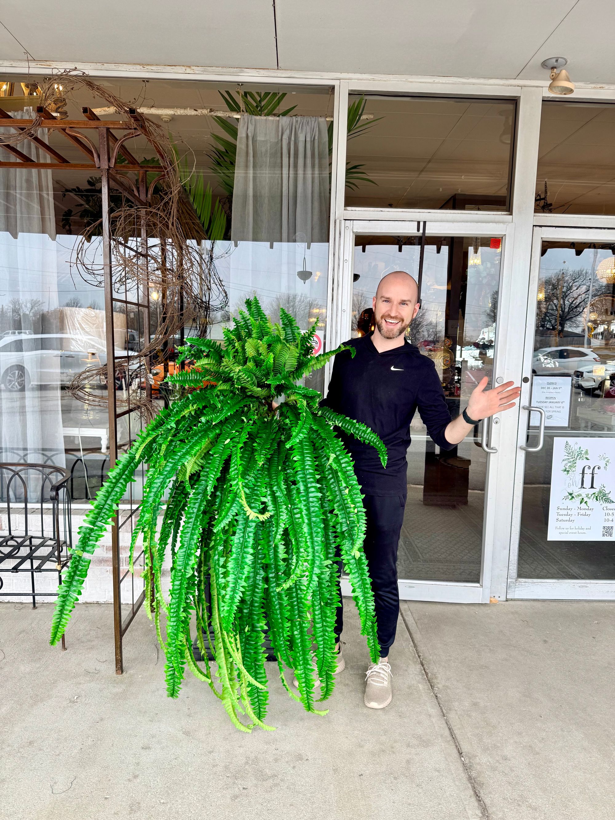 The Fabulous Fern business photo