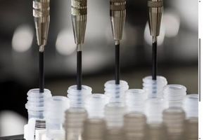PCSK9 Peptide Vaccine Cuts LDL Cholesterol in New Preclinical Study