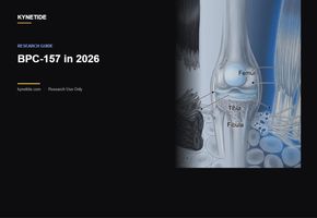 BPC-157 in 2026: What the Latest Research Actually Shows