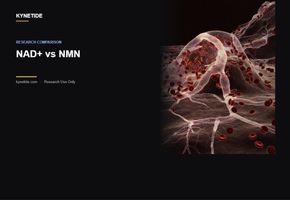 NAD+ vs NMN for Longevity Research: Which Compound Should You Study?