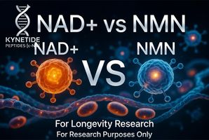 NAD+ vs NMN for Longevity Research: Which Compound Should You Study?