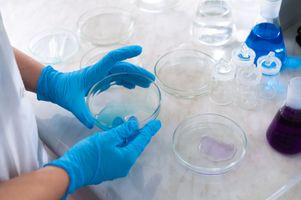 Rice Engineers Find a Way to Make Peptides Stay Put Longer in Gelatin Delivery Systems