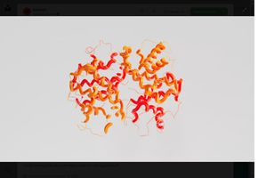One Peptide, Two Targets: Saitama Researchers Uncover a Metal-Ion Molecular Switch