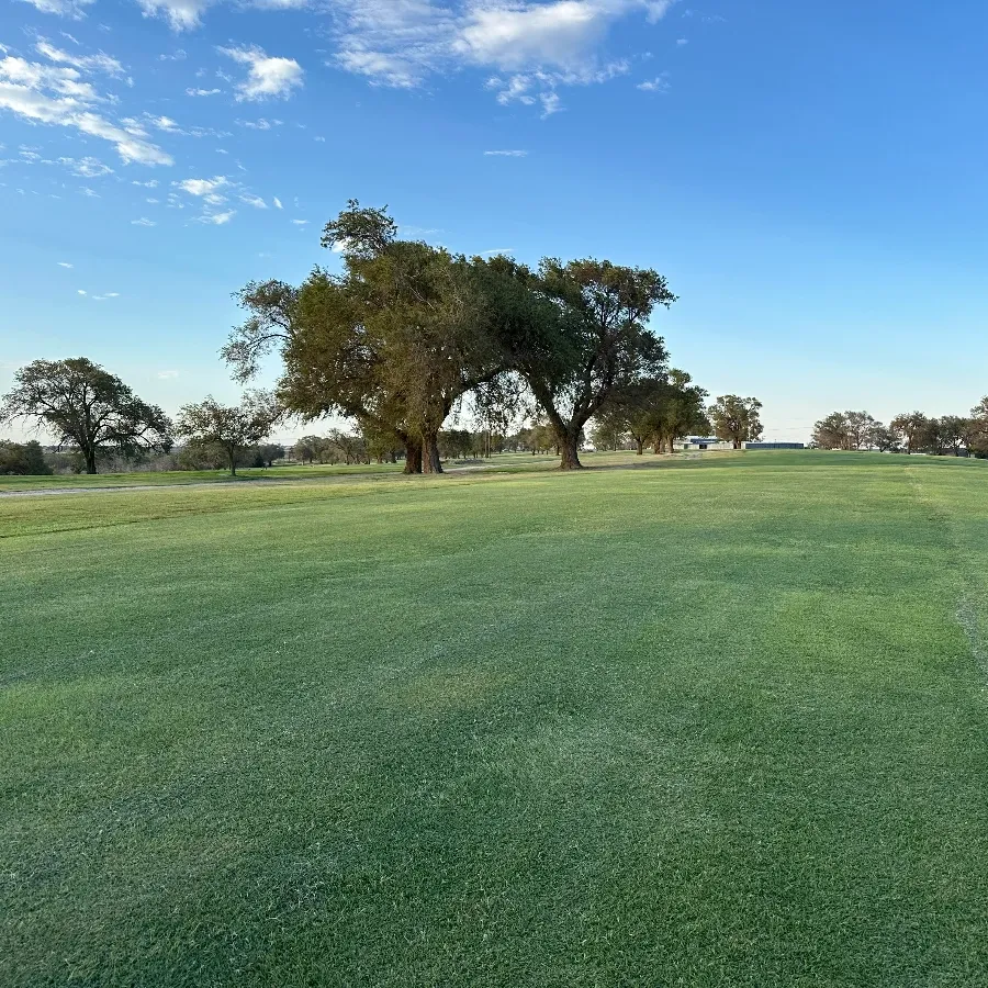 The Course