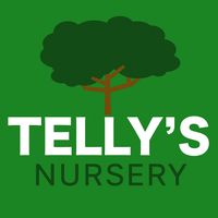 Telly's Nursery