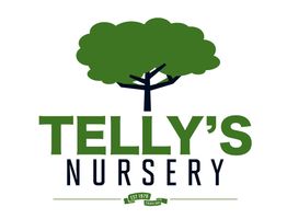 Telly's Nursery