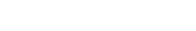 SteelHold Inc.