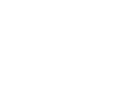 Rhythm & Bingo