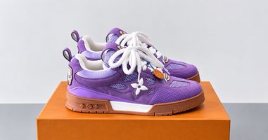 Louis Vuitton Skate Sneakers: Are They Right for You?