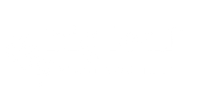 Big Leaf Plant Boutique