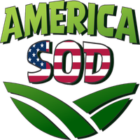 America Sod