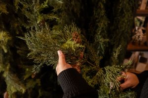 Hands holding Advent Greens Garland