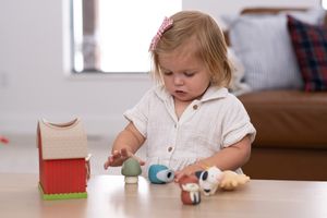 <p>Timeless Toys: Built for Play Today and Memories Tomorrow</p>