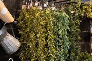 Bringing Spring to Life with Real Touch Greenery