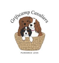 Grifscamp Cavaliers