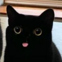 Sklep internetowy