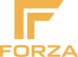Forza Strength and Swing