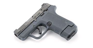 Ruger LCP Max Magpul EHG