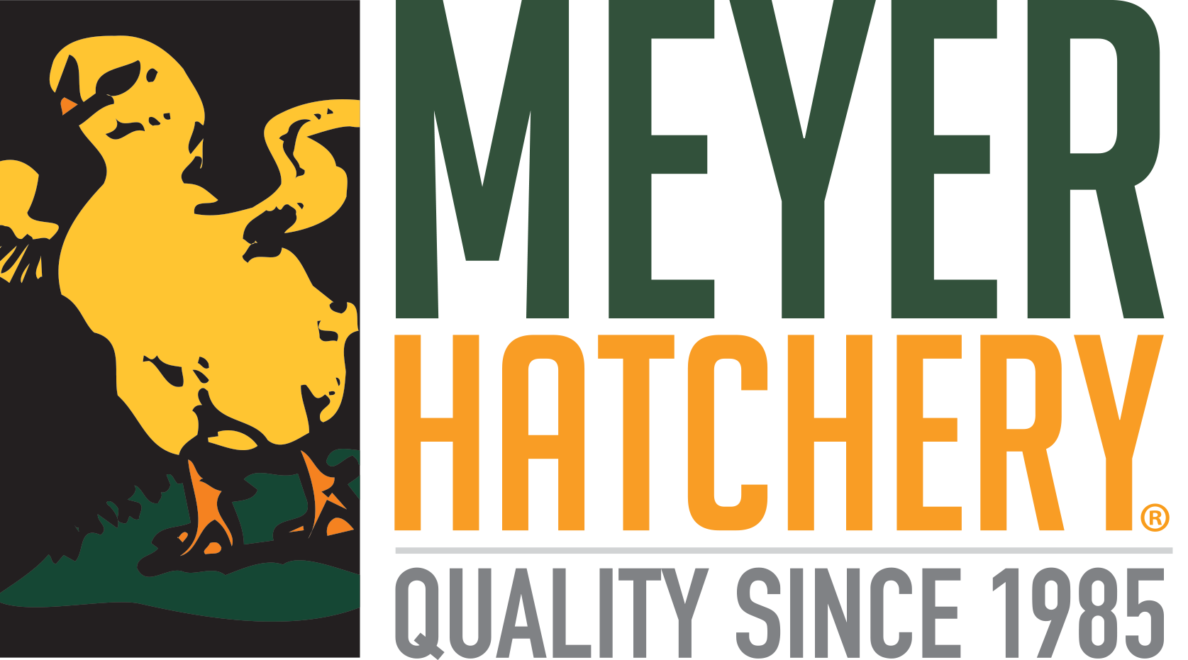 Meyer Hatchery Demo Time - Fiberglass Egg Washer 