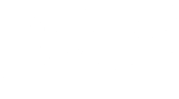 ProVinyl Co.