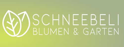 Online Shop Schneebeli Blumen & Garten