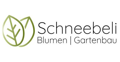 Online Shop Schneebeli Blumen & Garten