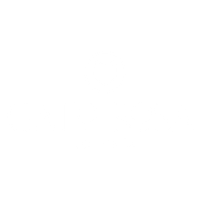 Gato Rosa