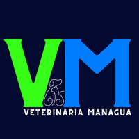 Veterinaria Managua