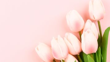 10% Off Mother's Day Flowers