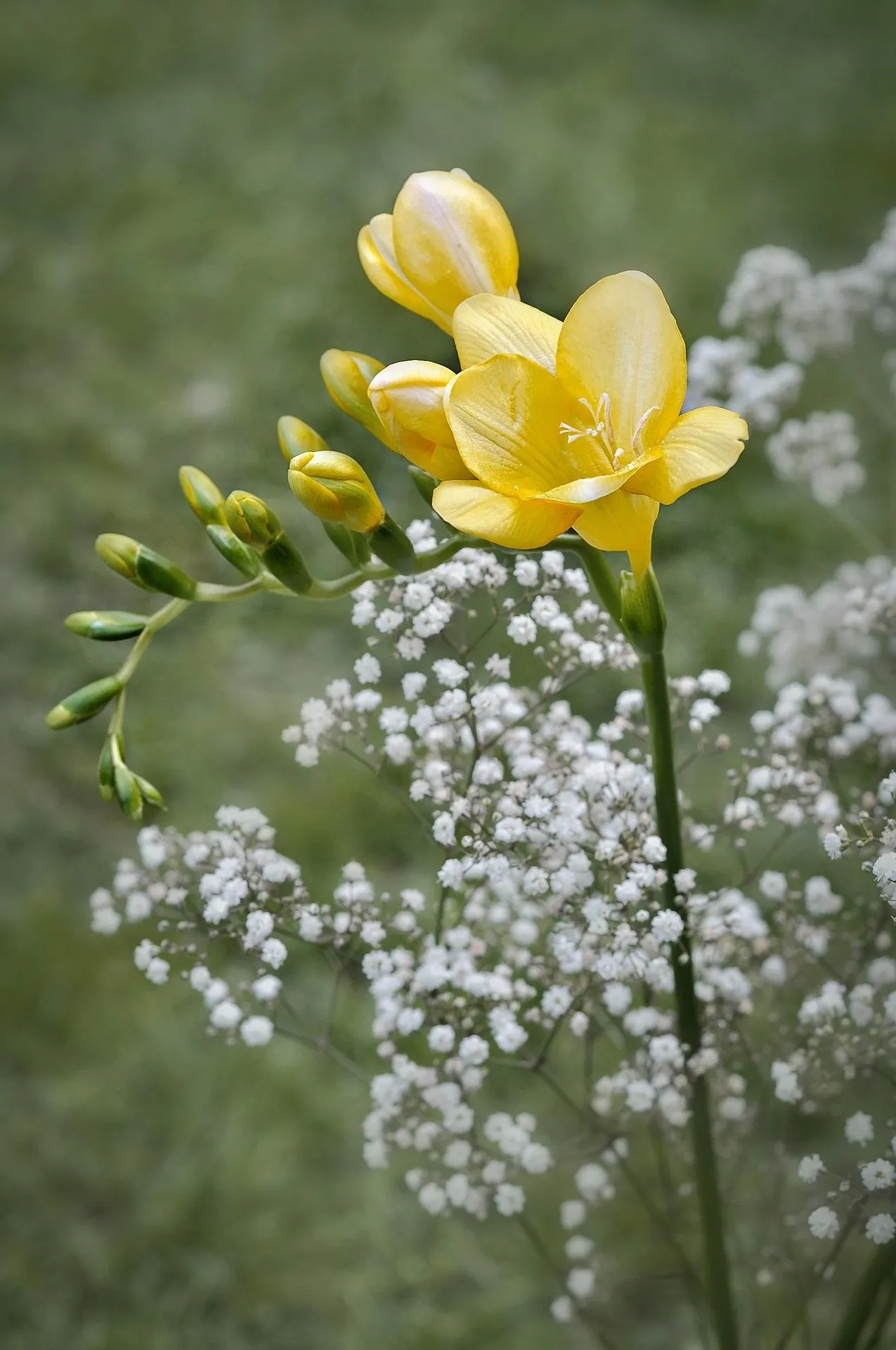 Feature Image