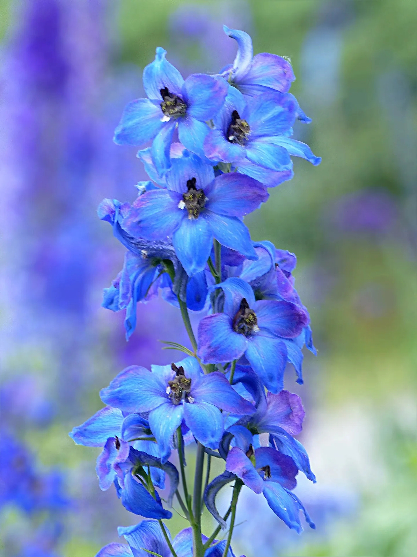 Feature Image