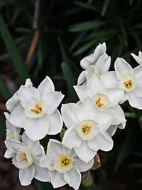 Feature Image