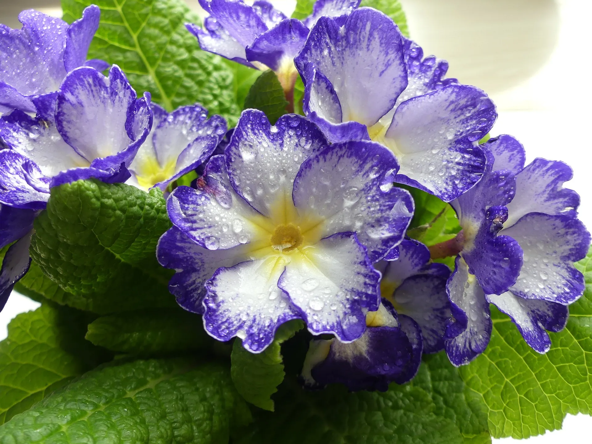 Feature Image