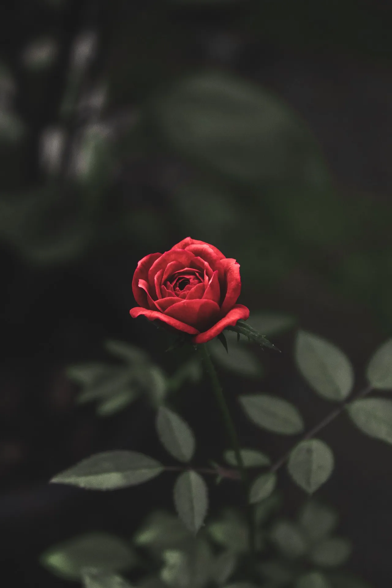 Feature Image