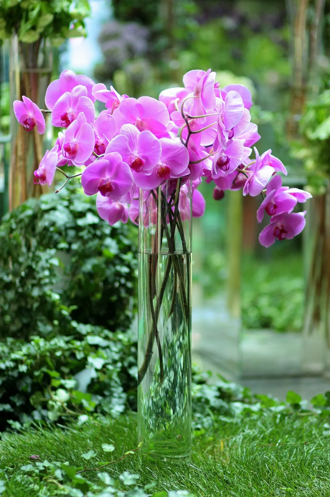 Feature Image
