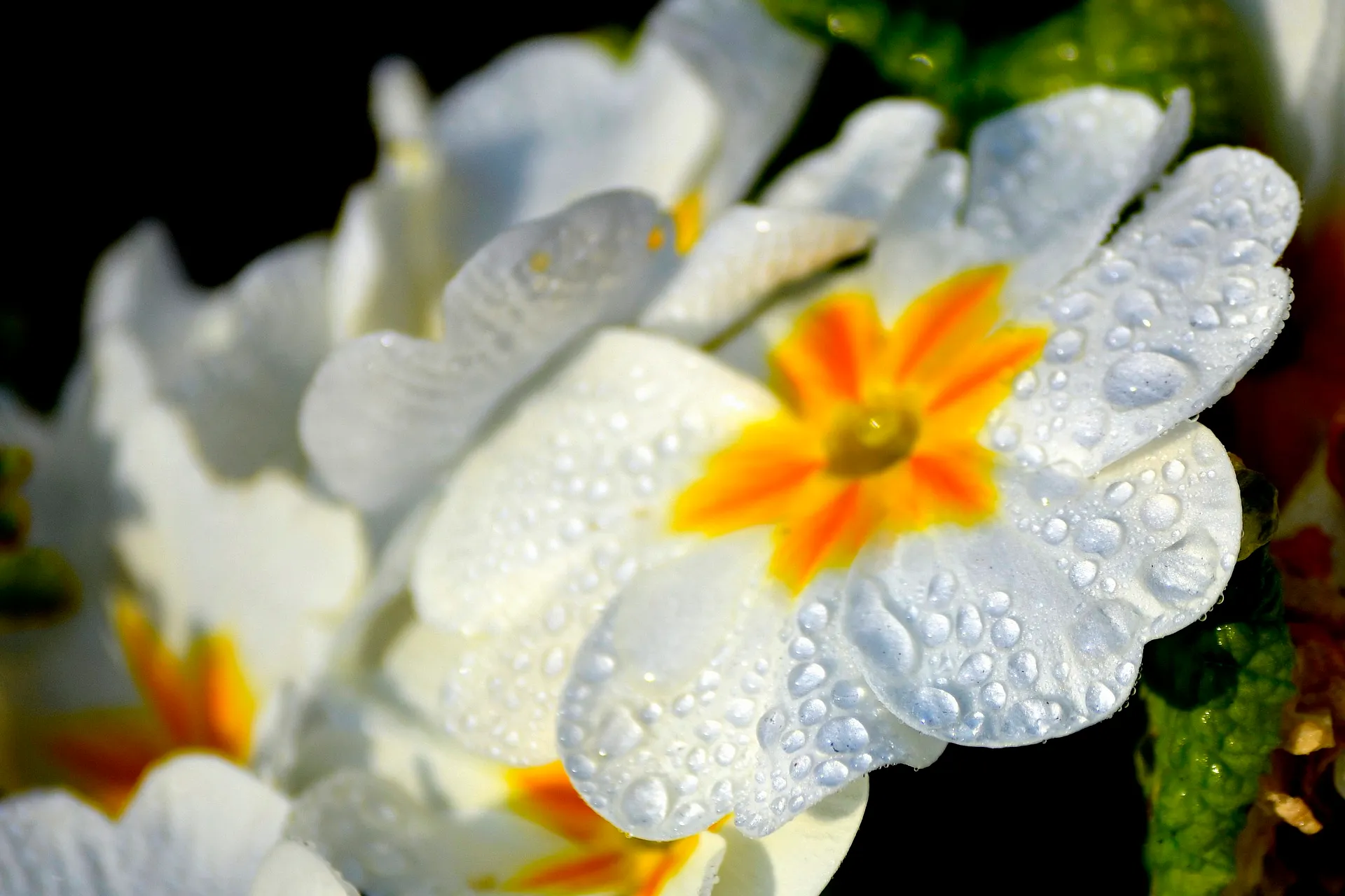 Feature Image